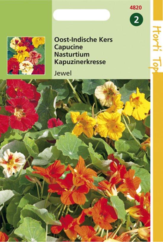 Garden Nasturtium Jewel (Tropaeolum) 24 seeds HT